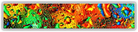 top-1000-079