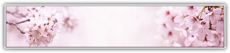 top-1000-262