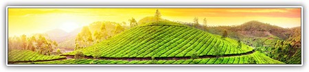 top-1000-469