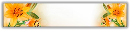 top-1000-633