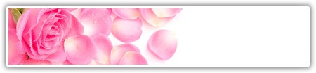 top-1000-691