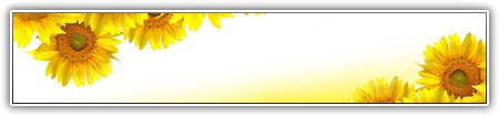 top-1000-896