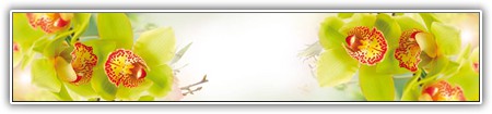 top-flowers-002