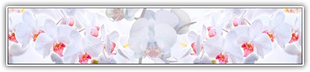 top-flowers-007