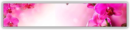 top-flowers-009