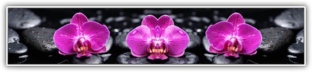 top-flowers-023