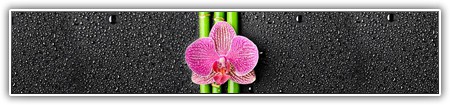 top-flowers-024