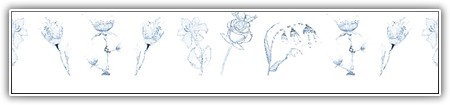 top-flowers-032