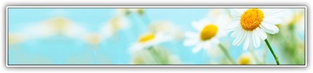 top-flowers-120