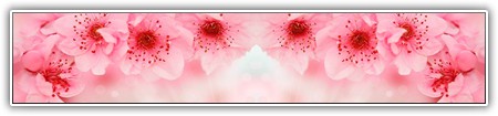 top-flowers-137