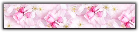 top-flowers-142