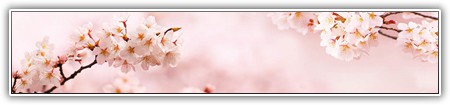 top-flowers-152