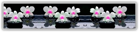 top-flowers-162