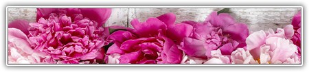 top-flowers-174