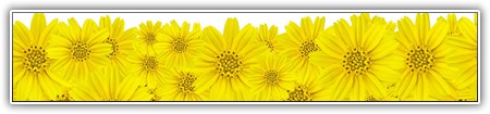 top-flowers-194
