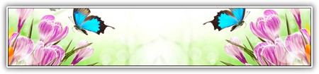 top-flowers-203