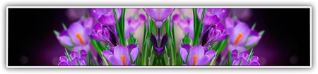 top-flowers-204