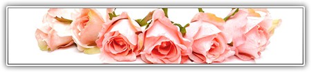 top-flowers-212