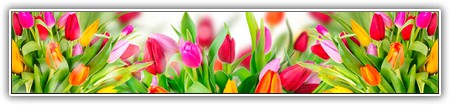 top-flowers-225