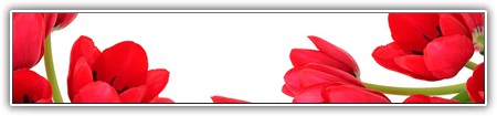 top-flowers-226