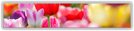 top-flowers-230
