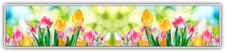 top-flowers-231