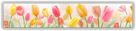 top-flowers-236