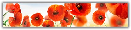 top-flowers-244
