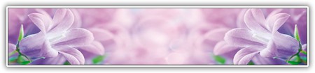 top-flowers-250