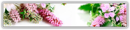 top-flowers-256