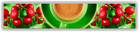 top-food-018