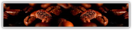 top-food-021