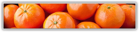 top-food-120
