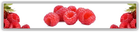 top-food-125