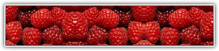 top-food-128