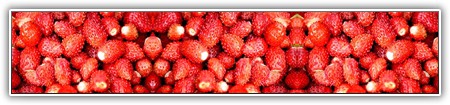 top-food-129