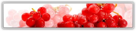 top-food-151