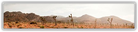 top-nature-028