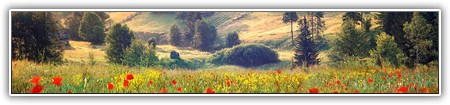 top-nature-033