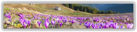 top-nature-034