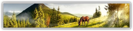top-nature-035