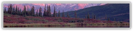top-nature-043