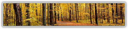 top-nature-048
