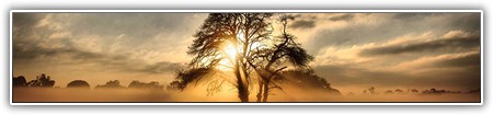 top-nature-052