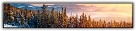 top-nature-053