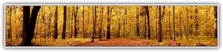 top-nature-056