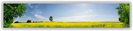 top-nature-058