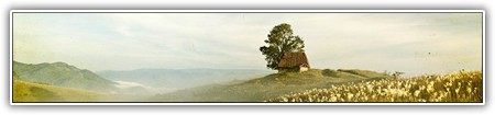 top-nature-059