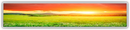 top-nature-064