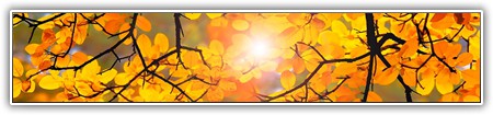 top-nature-065